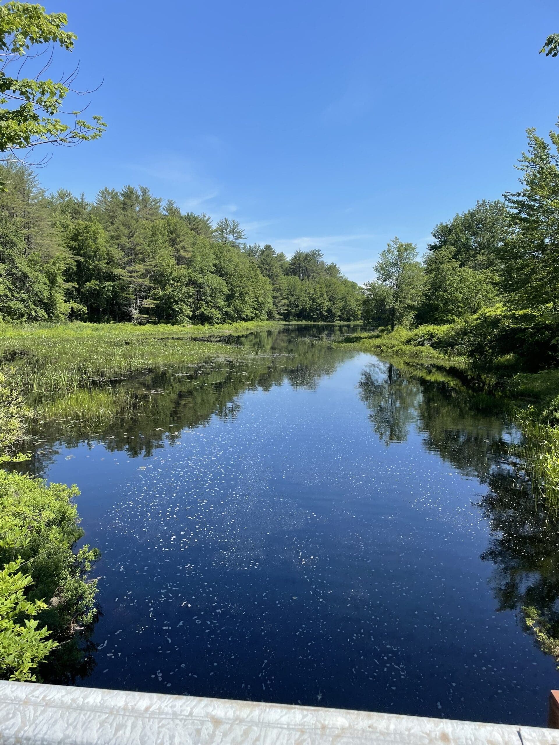Summertime in a Small Town