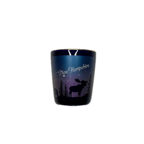 Night Life New Hampshire Shot Glass